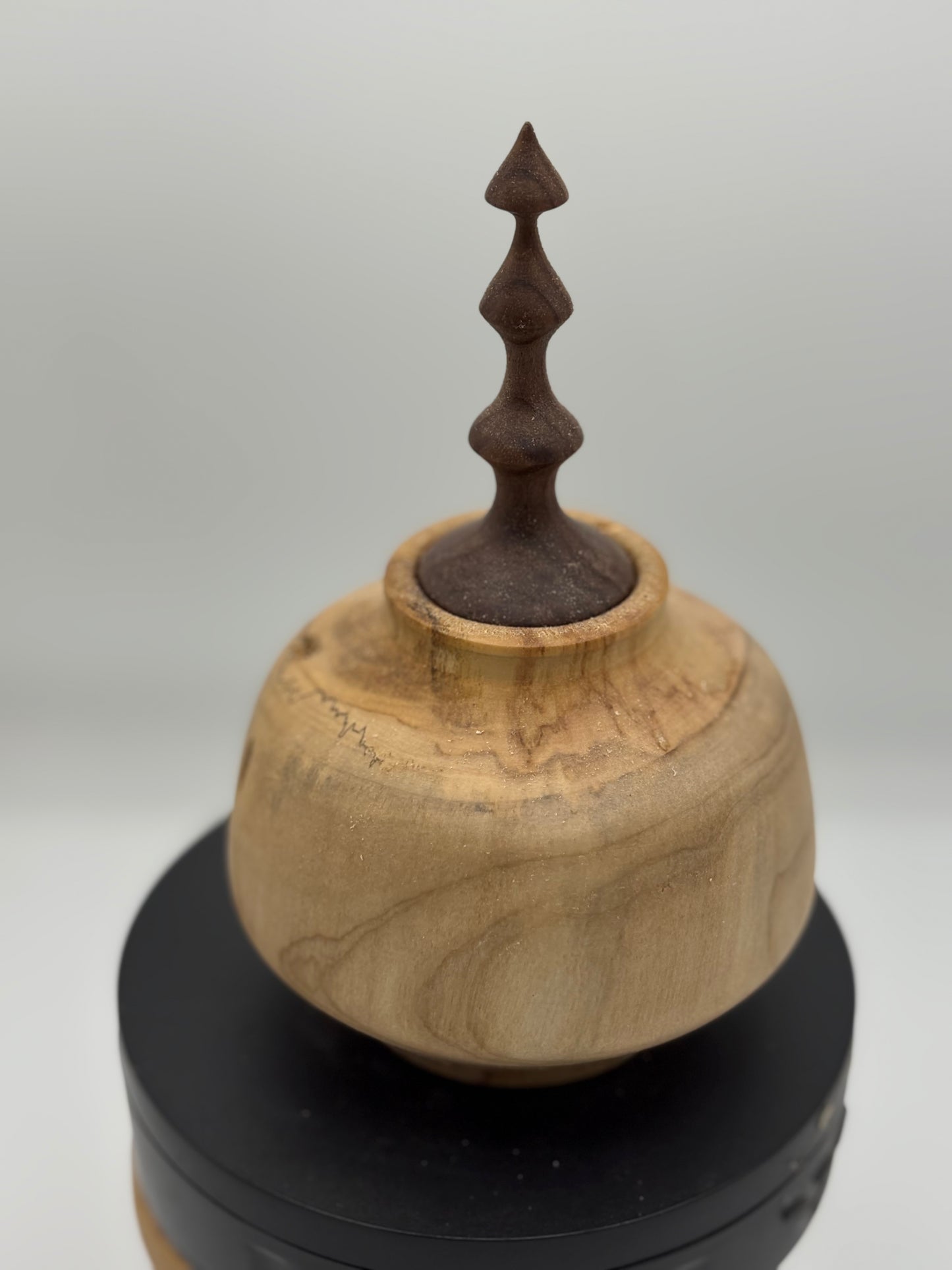 One of a Kind Hollow Form-Turned Wood Decor