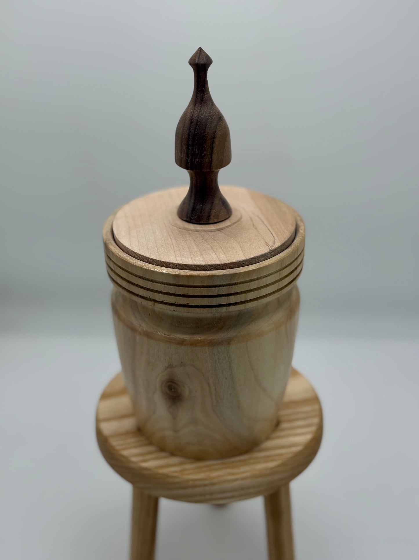 One of a Kind Hollow Form-Turned Wood Decor
