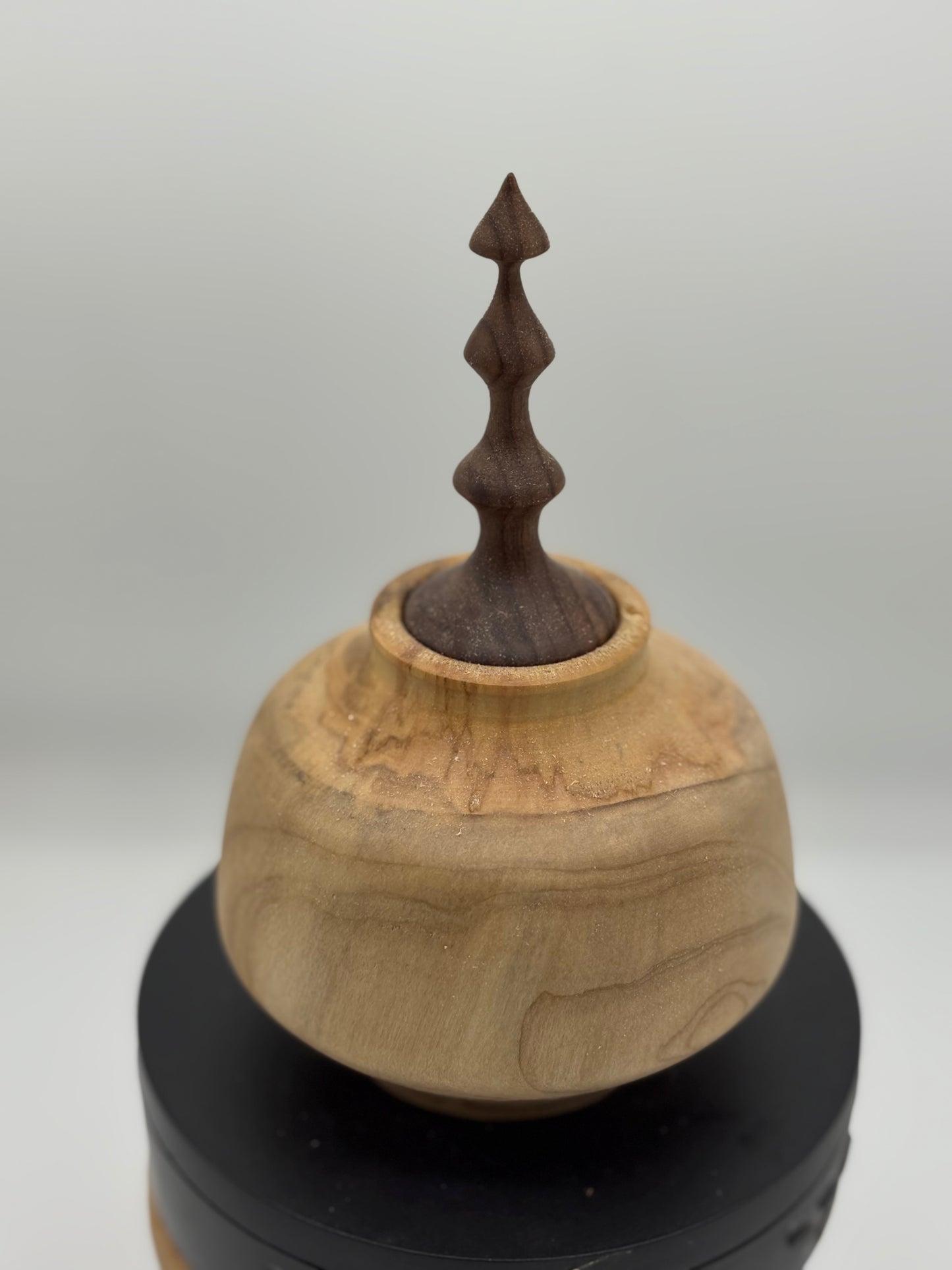 One of a Kind Hollow Form-Turned Wood Decor